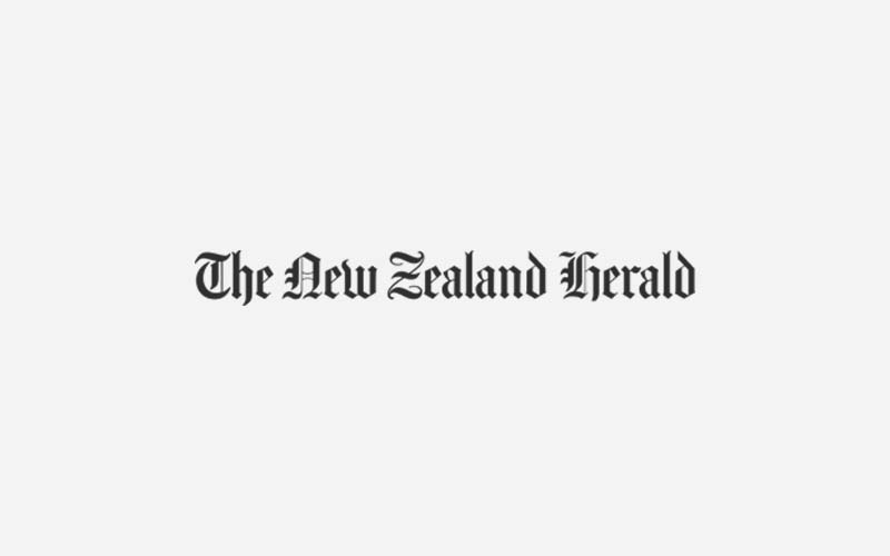 NZH_800x500_gr